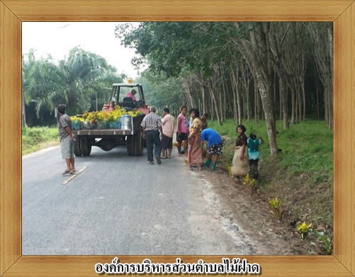 โครงการท้องถิ่นไทย รวมใจภักดิ์รักษ์พื้นที่สีเขียว กิจกรรม : ปลูกต้นไม้ในพื้นที่ตำบลไม้ฝาด